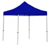 Image of "Canopy & Frame" option for "Canopy"