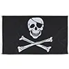 Image of "Jolly Roger" option for "Design"