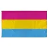 Image of "Pansexual" option for "Pride Flag"