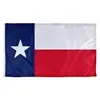 Image of "Texas" option for "State Flag"
