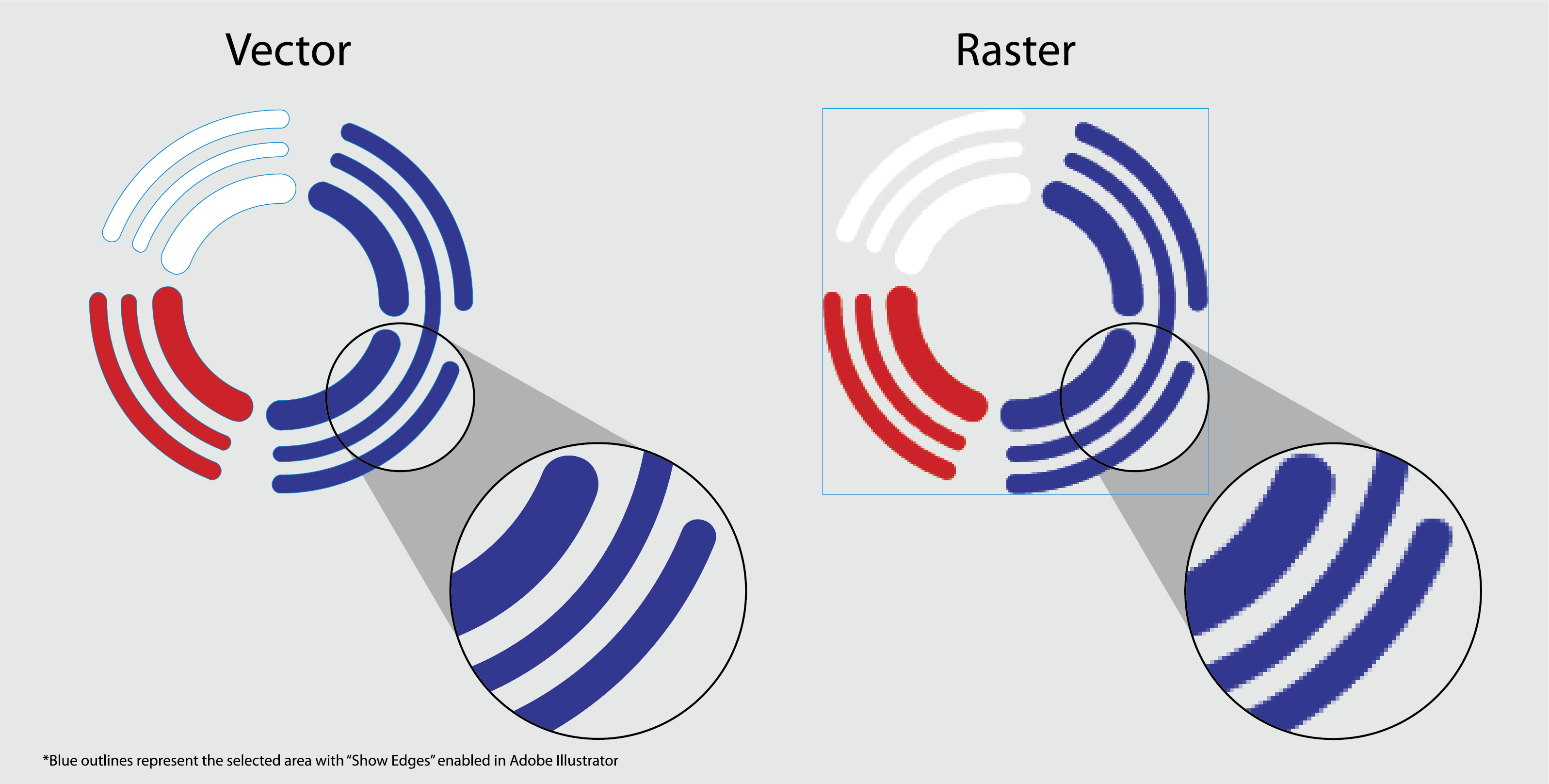 Vector versus raster logo